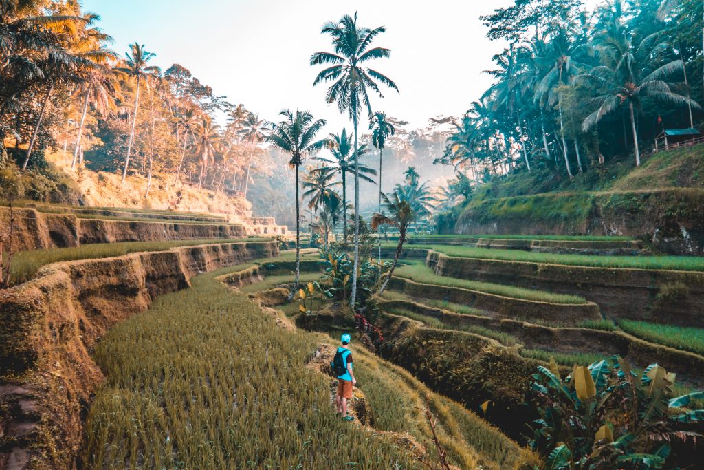 Pogoda w Indonezji – kiedy najlepiej jest jechać na Bali?